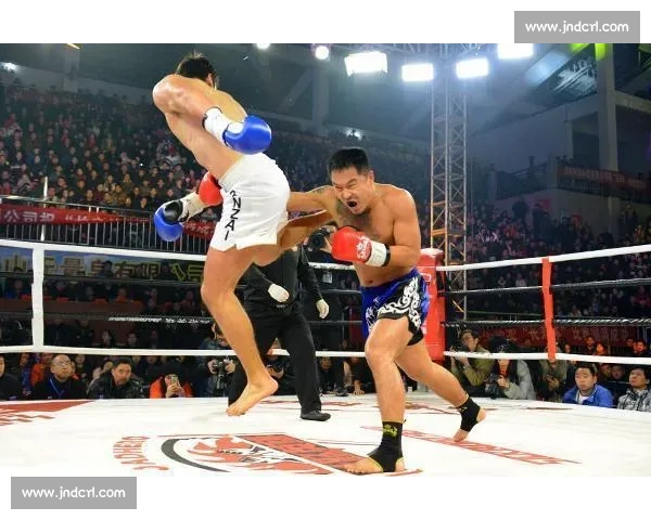 穆斯里穆对决柳海龙巅峰力量与技术碰撞的热血擂台传奇之夜全景